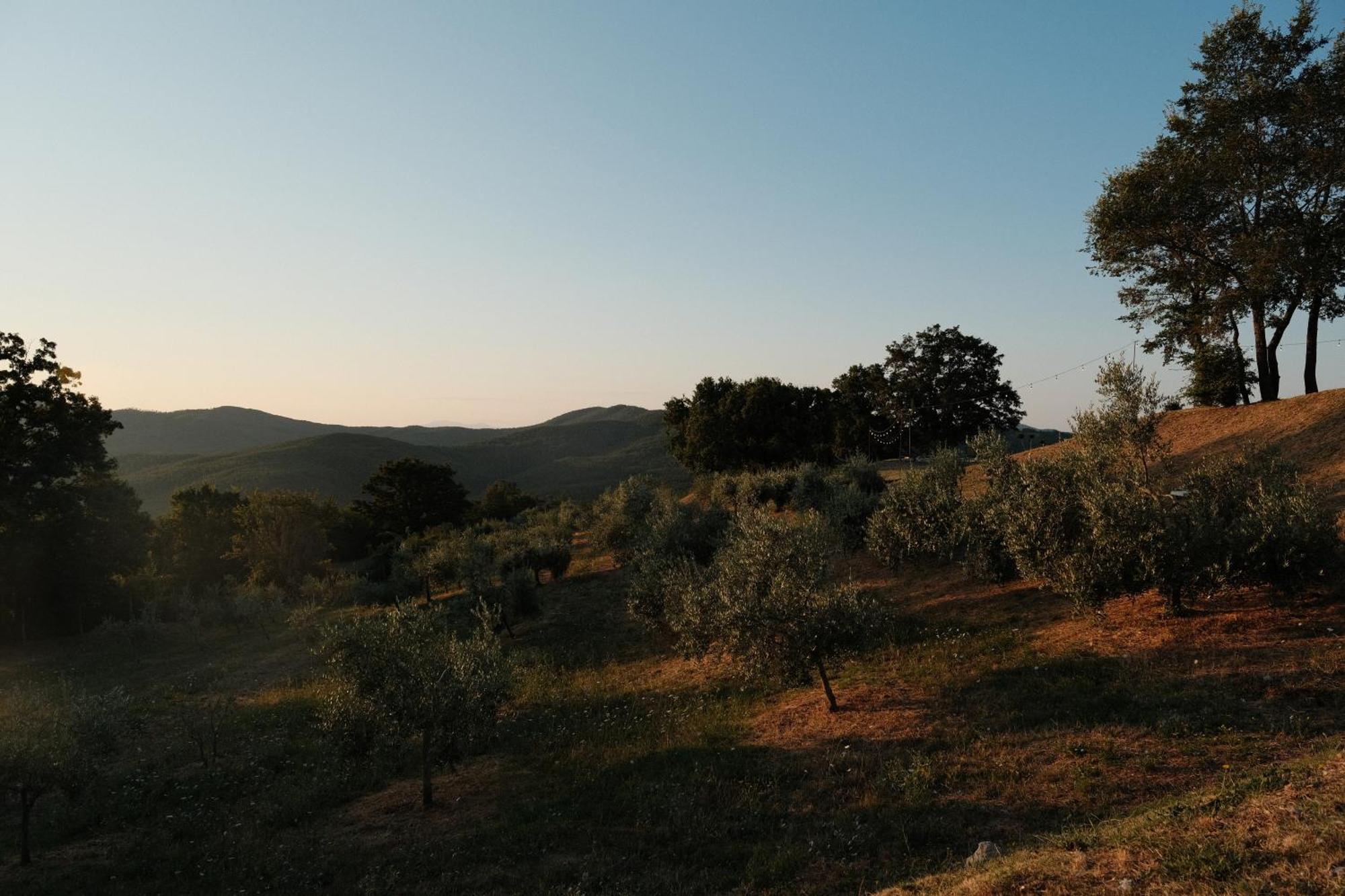 Vin Hotel - Wine Resort And Agriturismo Montieri Luaran gambar